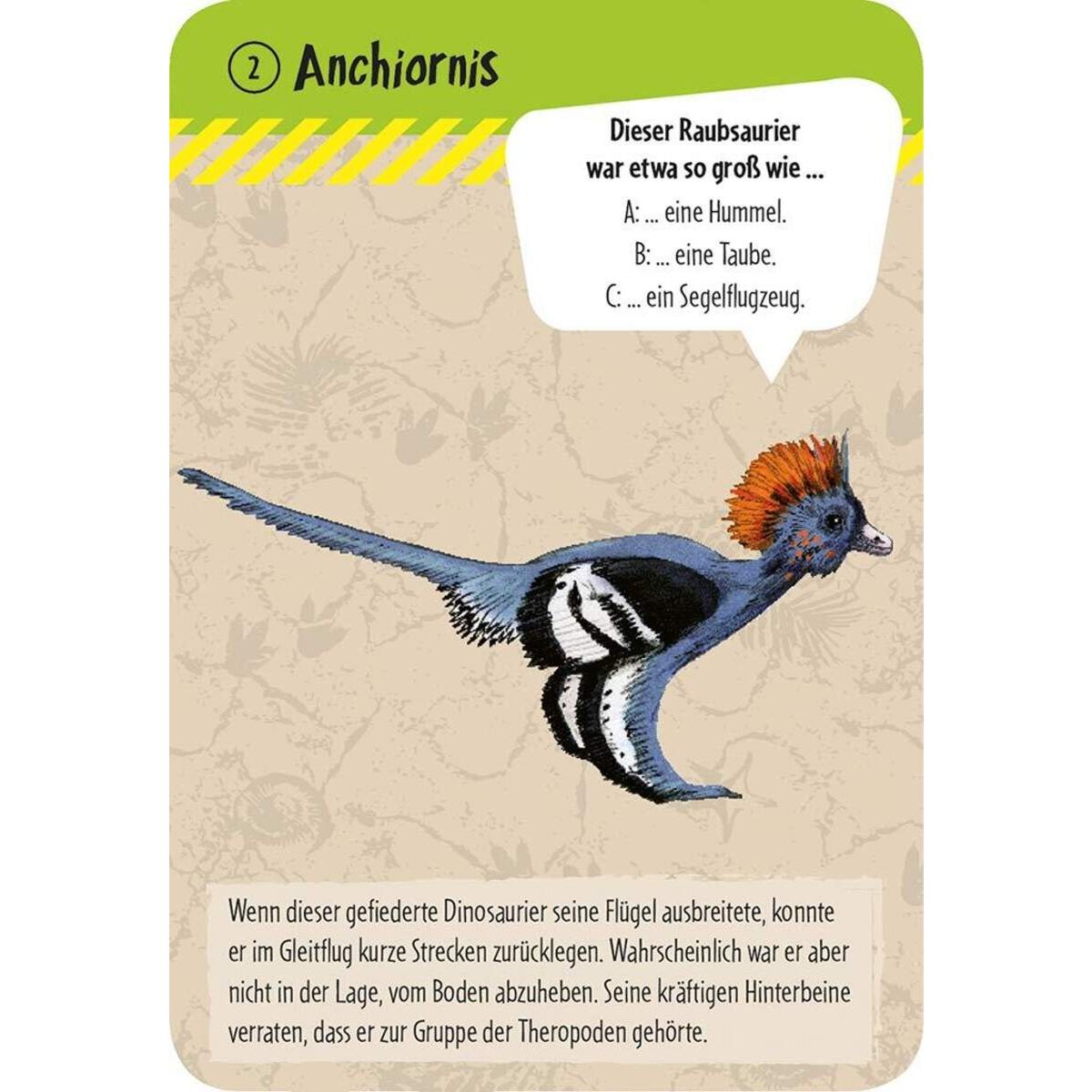 moses. 50 Dinosaurier: Erkennen & Staunen!