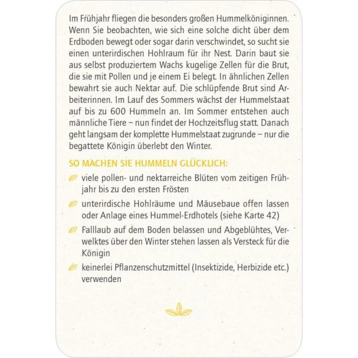 moses. Blatt & Blüte Insektenglück