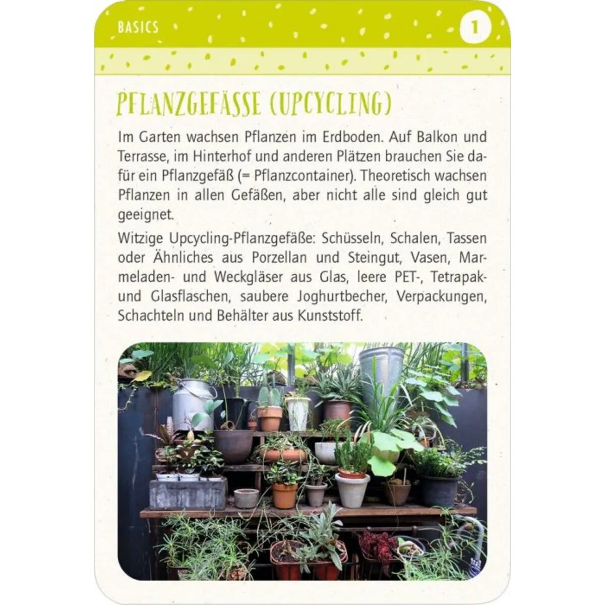 moses. Blatt & Blüte Stadtgärtnern