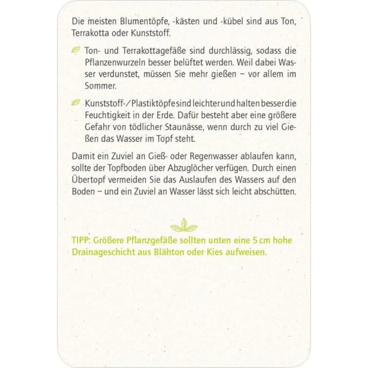 moses. Blatt & Blüte Stadtgärtnern