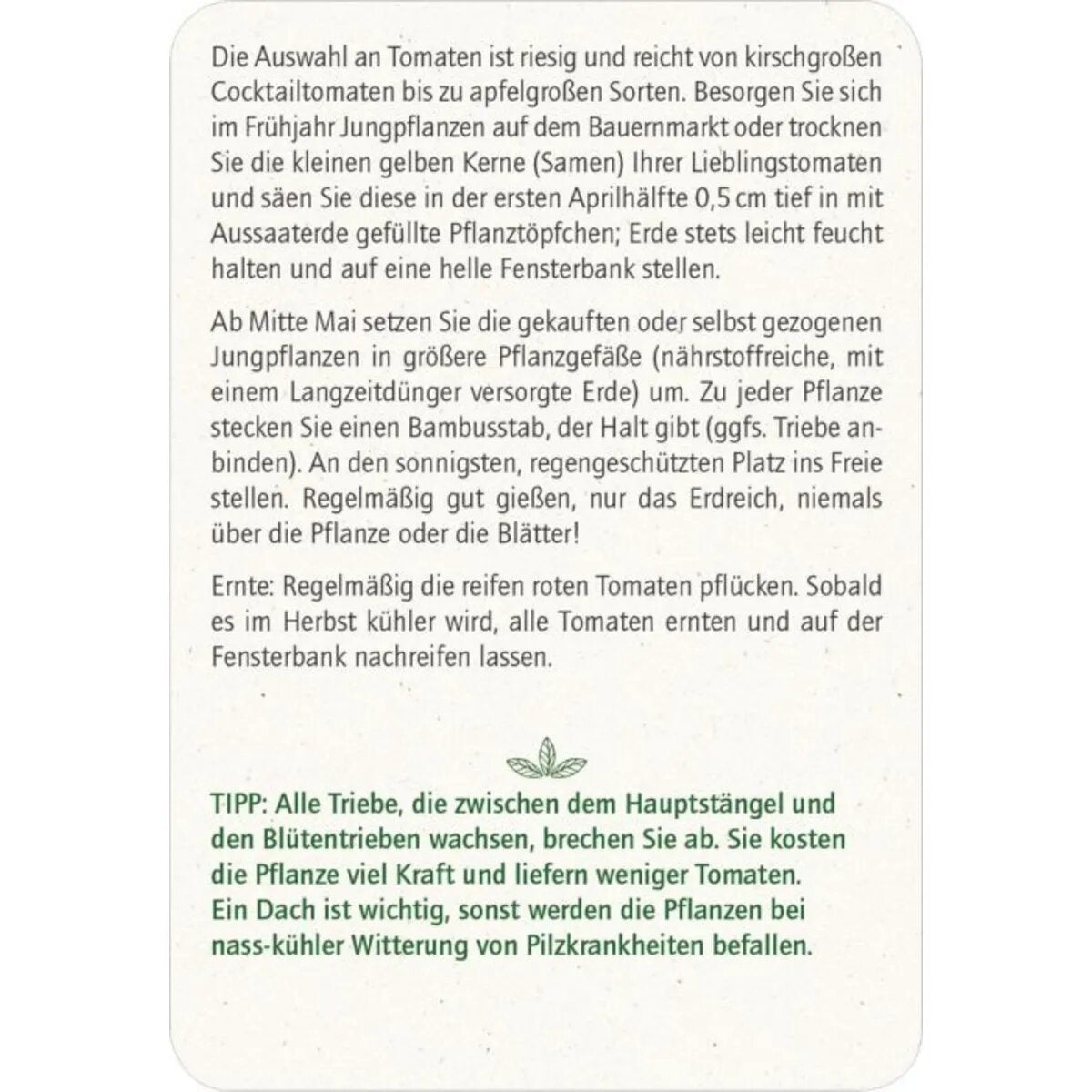 moses. Blatt & Blüte Stadtgärtnern