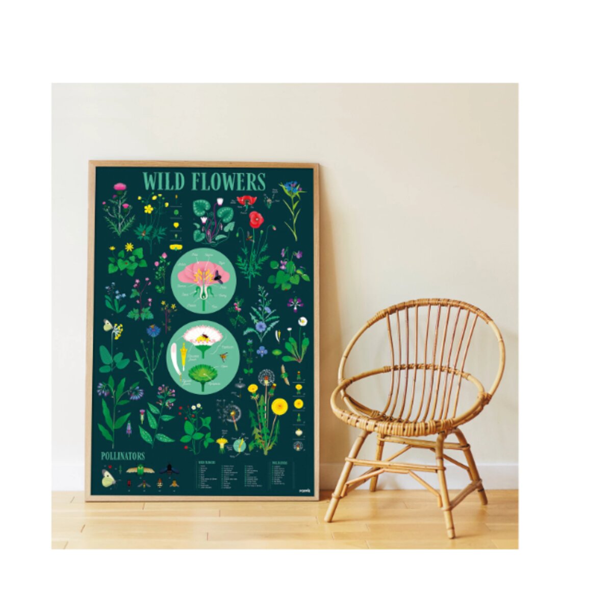 Poppik Sticker Lernposter Botanik