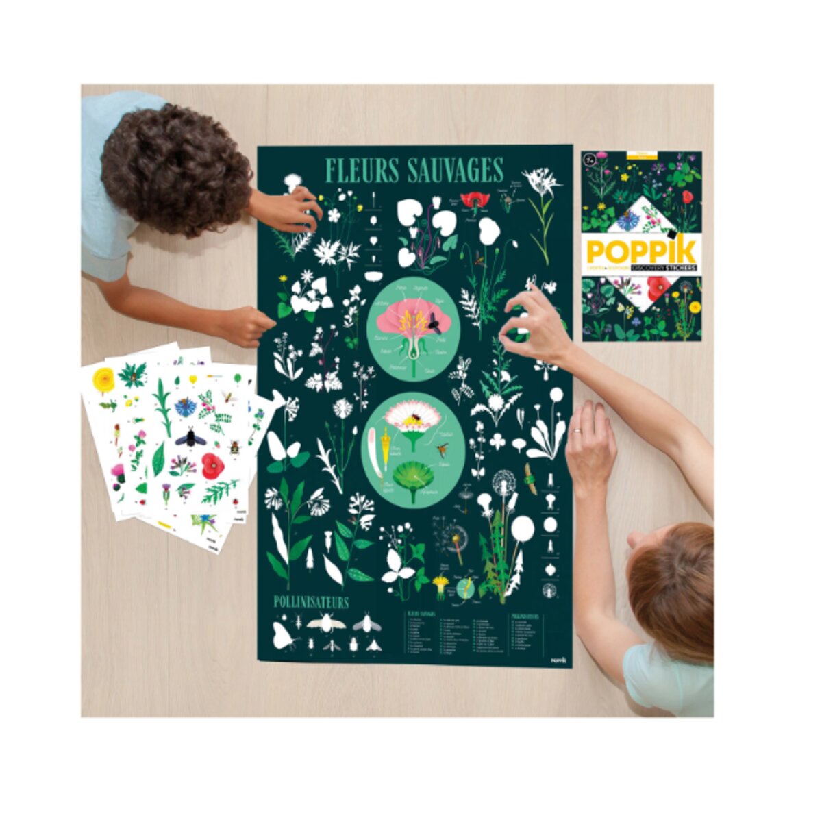 Poppik Sticker Lernposter Botanik