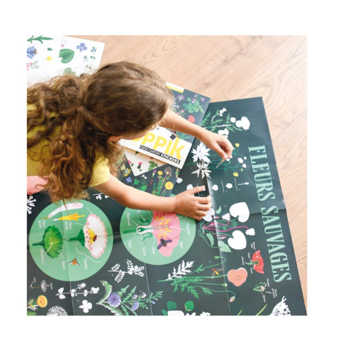 Poppik Sticker Lernposter Botanik