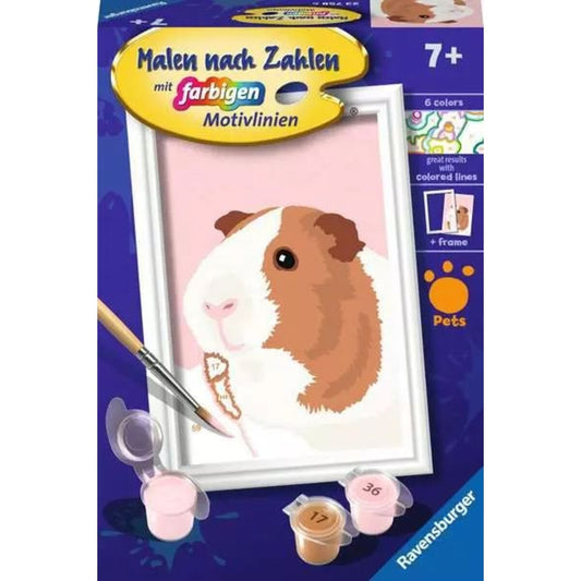 Ravensburger Malen nach Zahlen - Niedliches Meerschweinchen