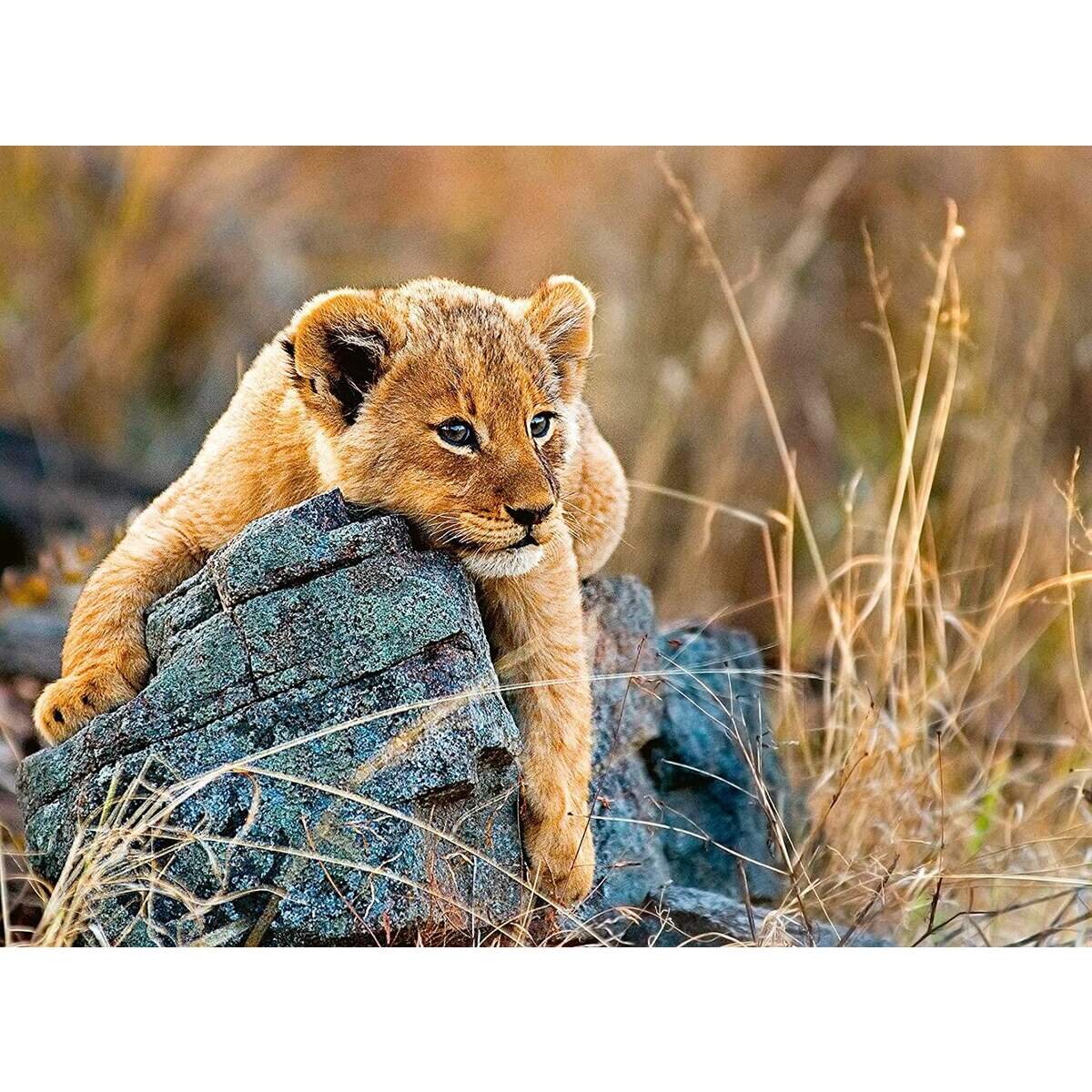 Ravensburger Puzzle - Kleiner Löwe, 200 Teile