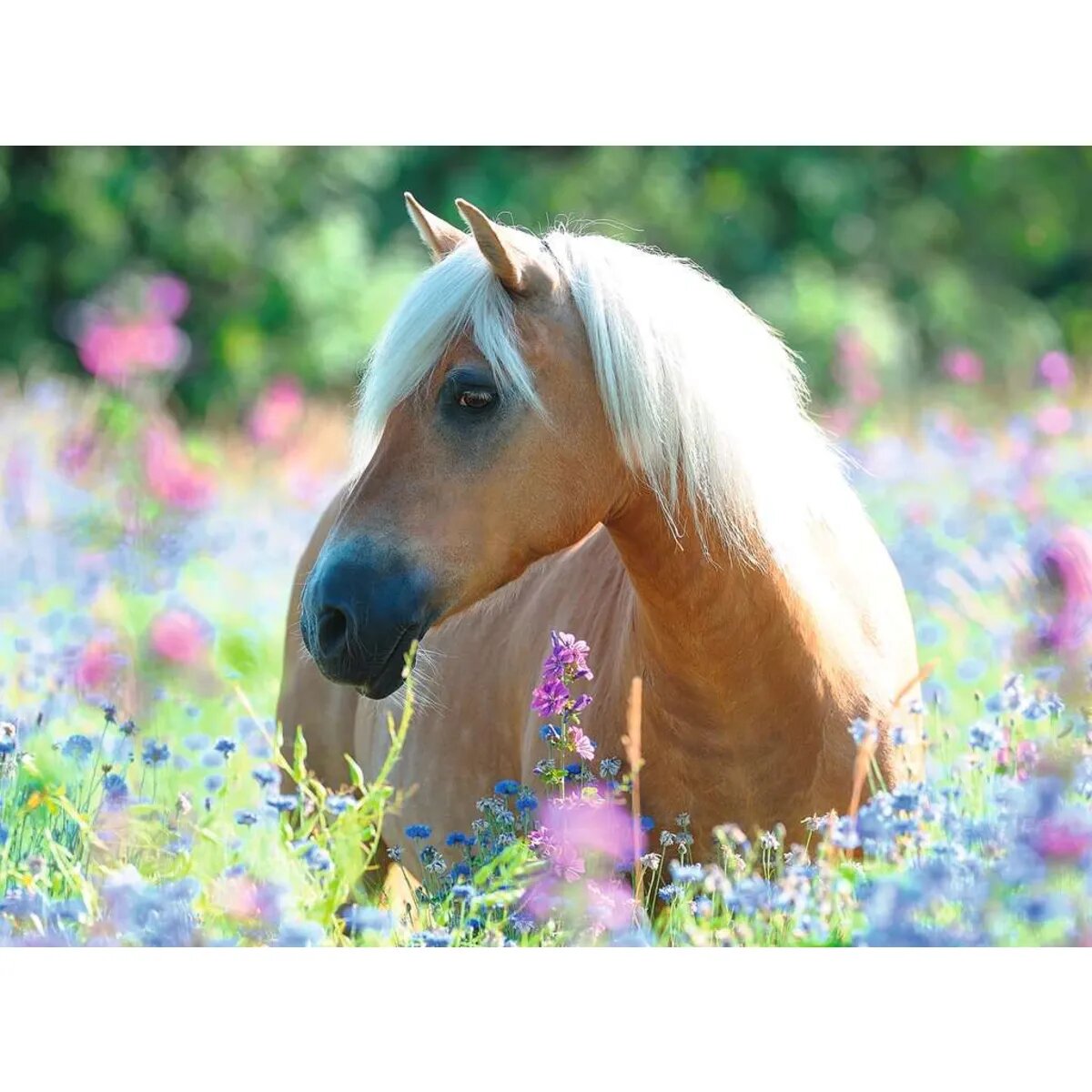 Ravensburger XXL Puzzle - Pferd im Blumenmeer, 300 Teile