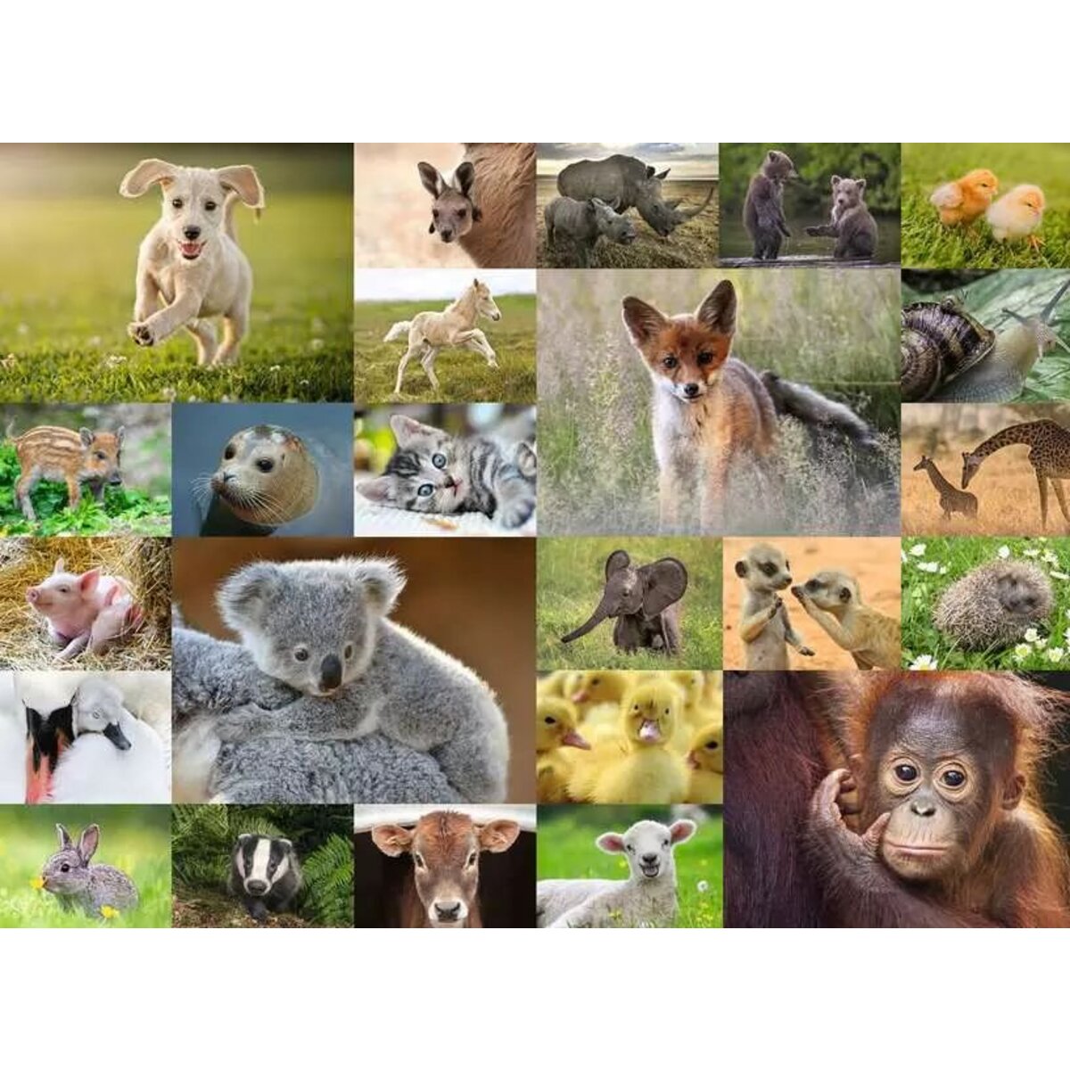 Ravensburger XXL Puzzle - Süße Tierbabys, 200 Teile
