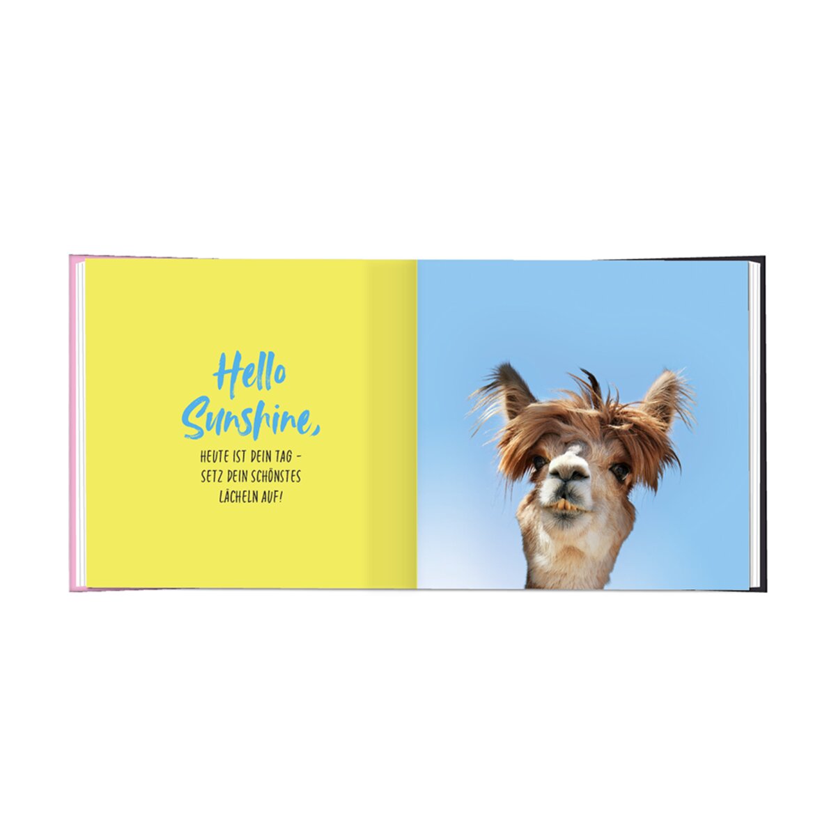 Grafik Werkstatt Minibuch Du bist einzigartig - Happy Birthday