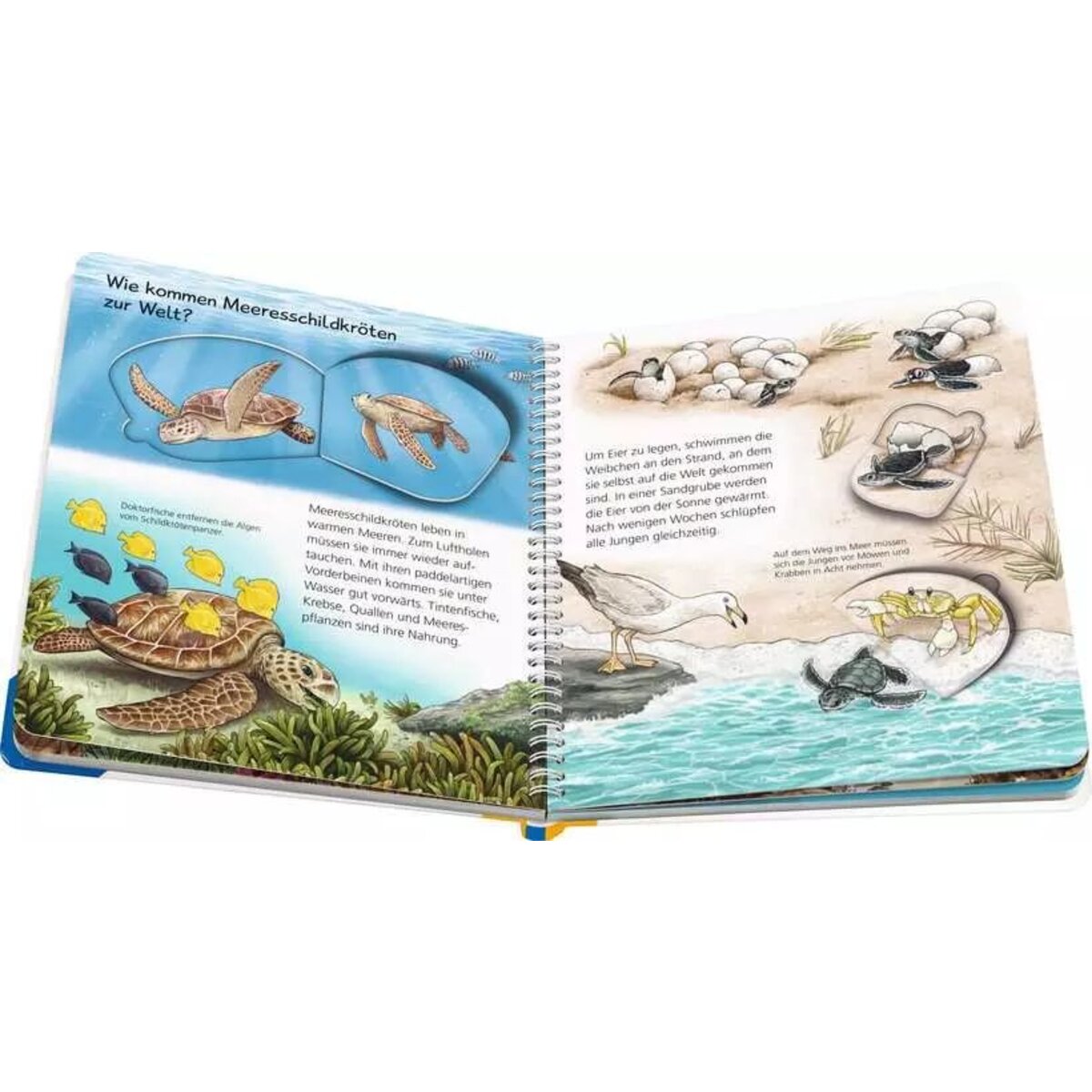 Ravensburger Wieso? Weshalb? Warum? junior, Band 57: Tiere im Meer