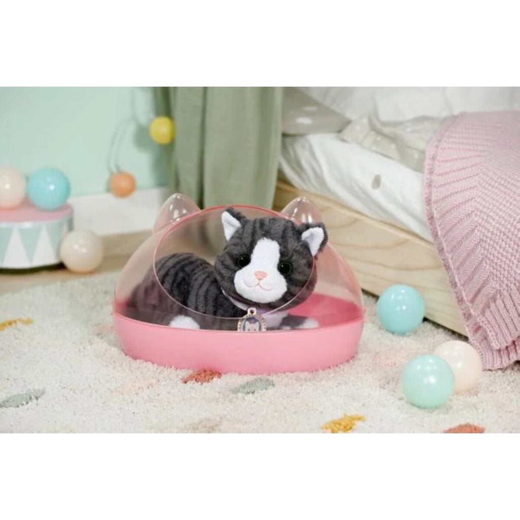 baby-born-meine-katze-cookie-89A2C0433.jpg