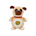 bb-klostermann-jellyroos-mops-bruce-7A0854C71.jpg