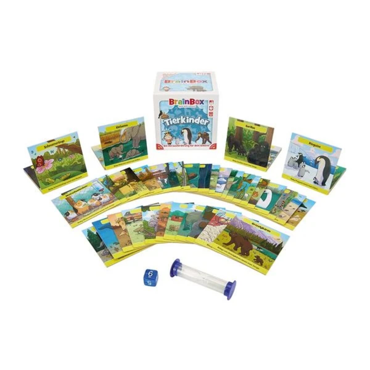 brain-box-94904-tierkinder-d-43C576B13.jpg