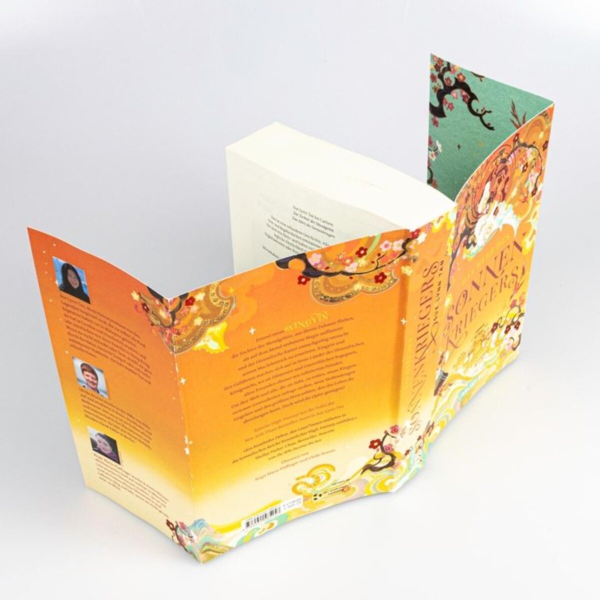 Carlsen Verlag Tan, Die Tochter der Mondgöttin 2: Das Herz des Sonnenkriegers