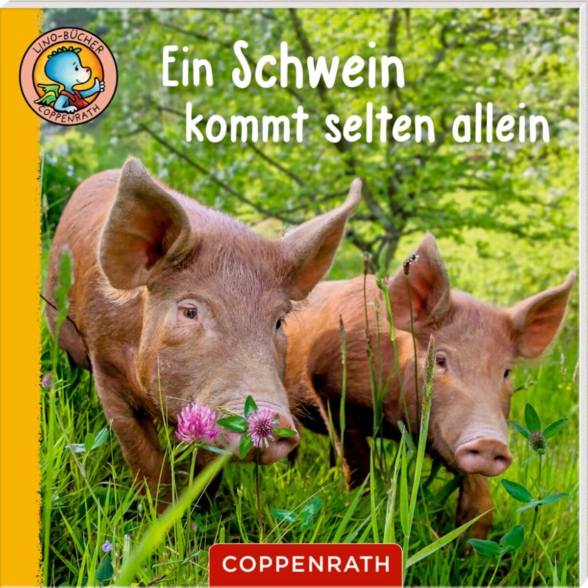 coppenrath-verlag-65242-6-lino-F4C330E93.jpg