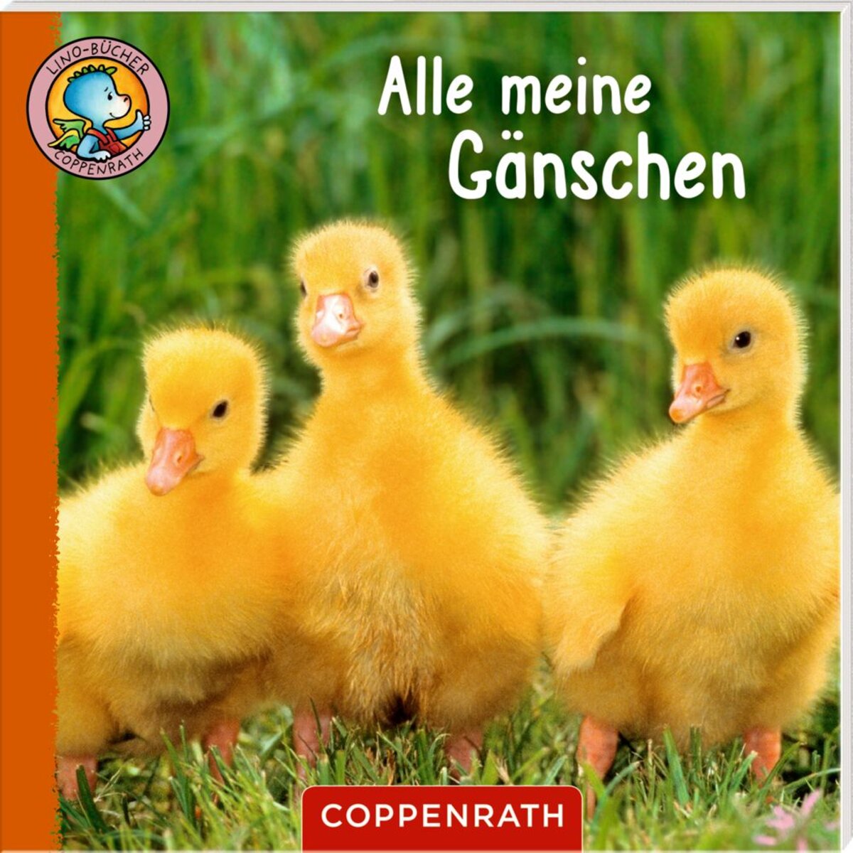 coppenrath-verlag-65242-6-lino-F4C330E94.jpg