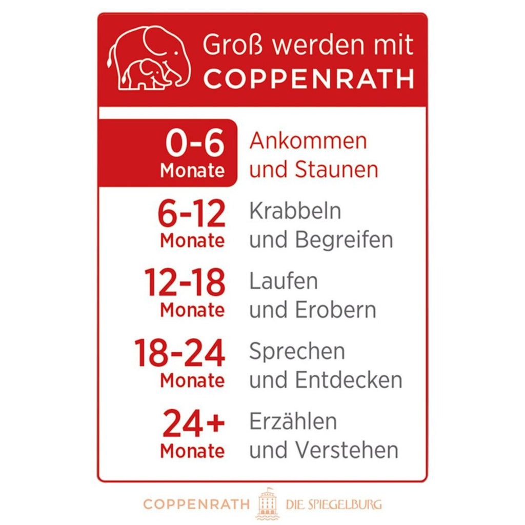 coppenrath-verlag-babys-kontrast-zauber-27456D4F5.jpg