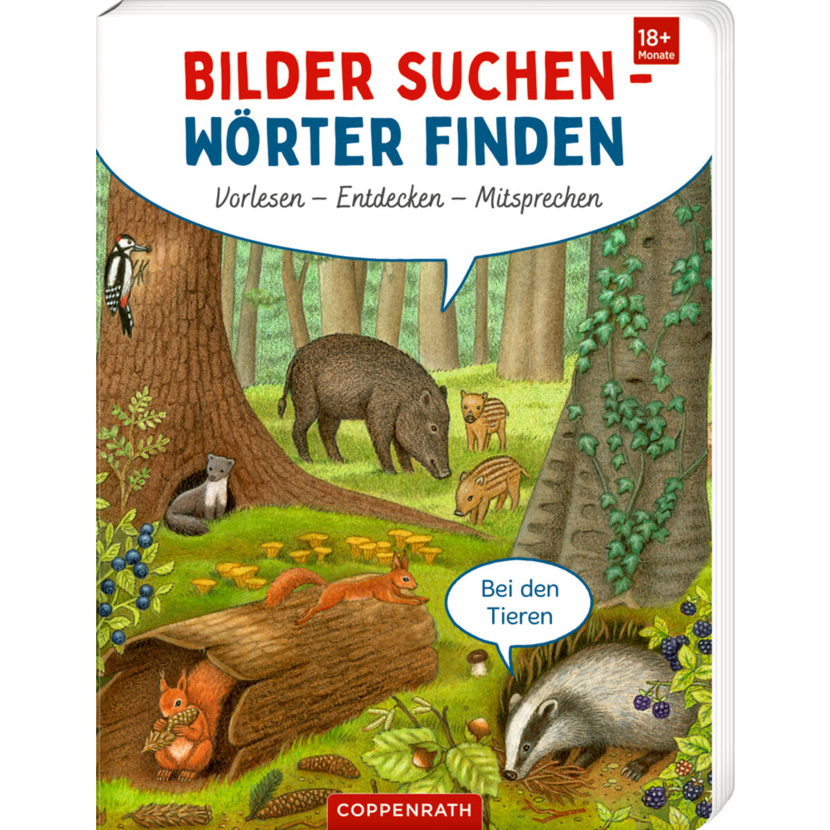 Coppenrath Verlag Bilder suchen Wörter finden Vorlesen Entdecken Mitsprechen
