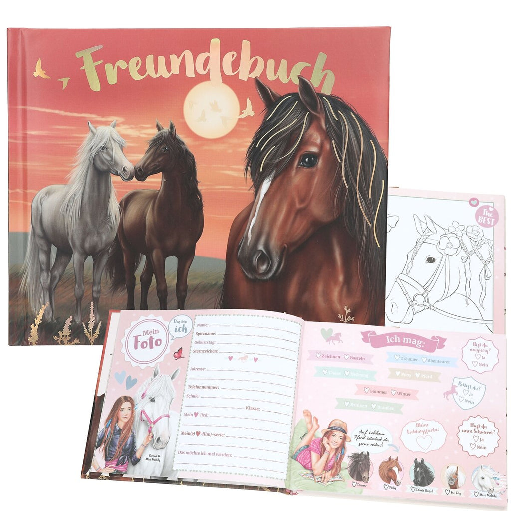 depesche-miss-melody-freundebuch-pferde-E9D4E0374.jpg