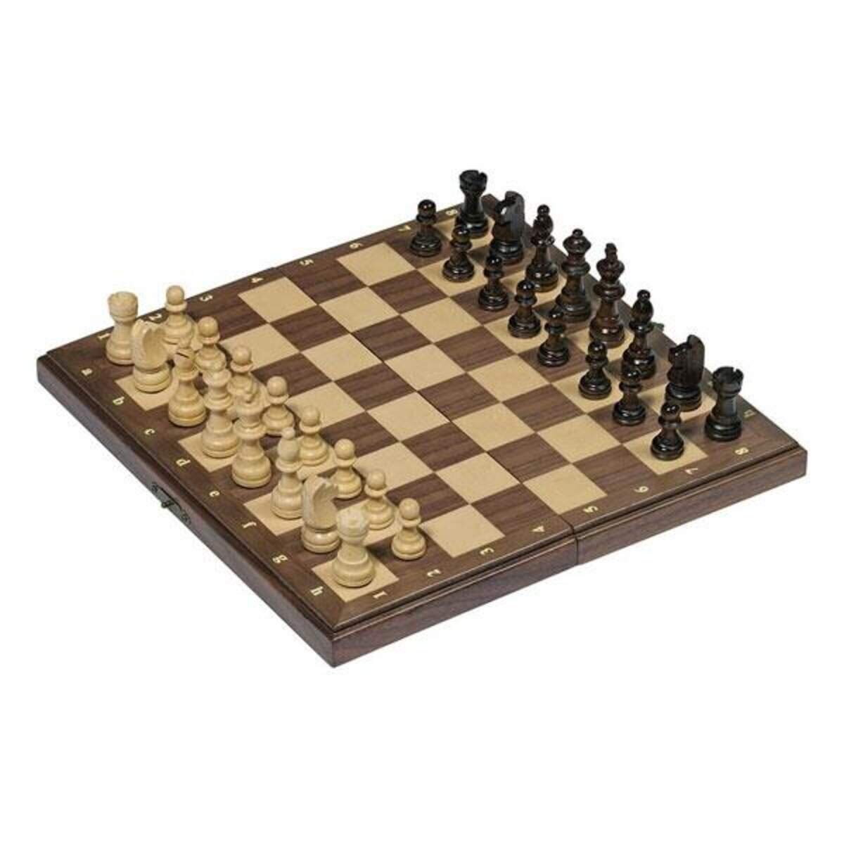 goki-schach-magnetisch-27AEFB402.jpg