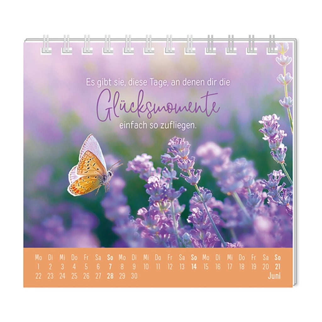 grafik-werkstatt-mini-kalender-2026-670C6D974.jpg