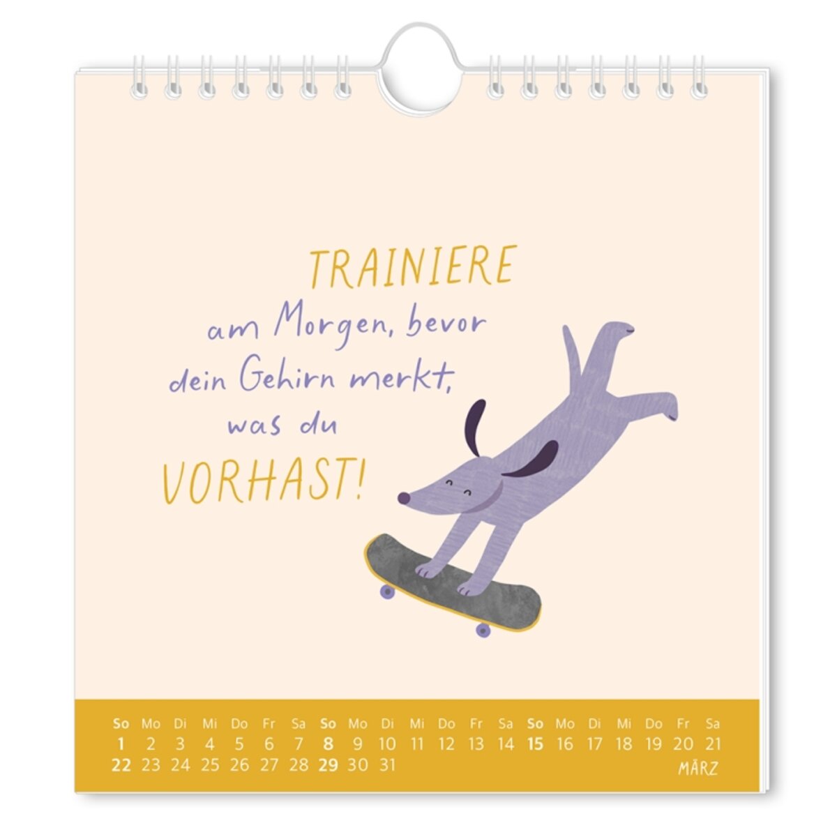 grafik-werkstatt-postkartenkalender-2026--AA61DB473.jpg
