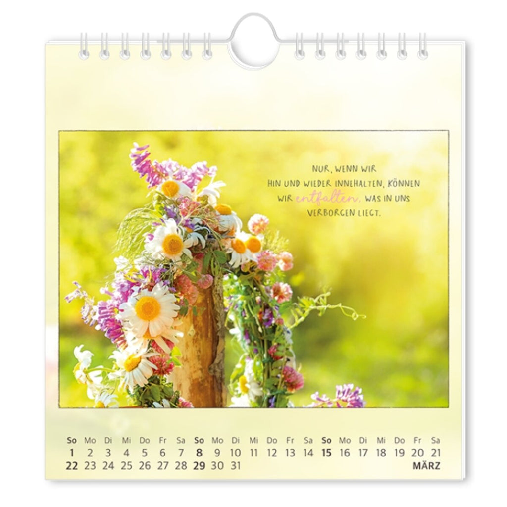 grafik-werkstatt-postkartenkalender-2026--FA279EBA3.jpg