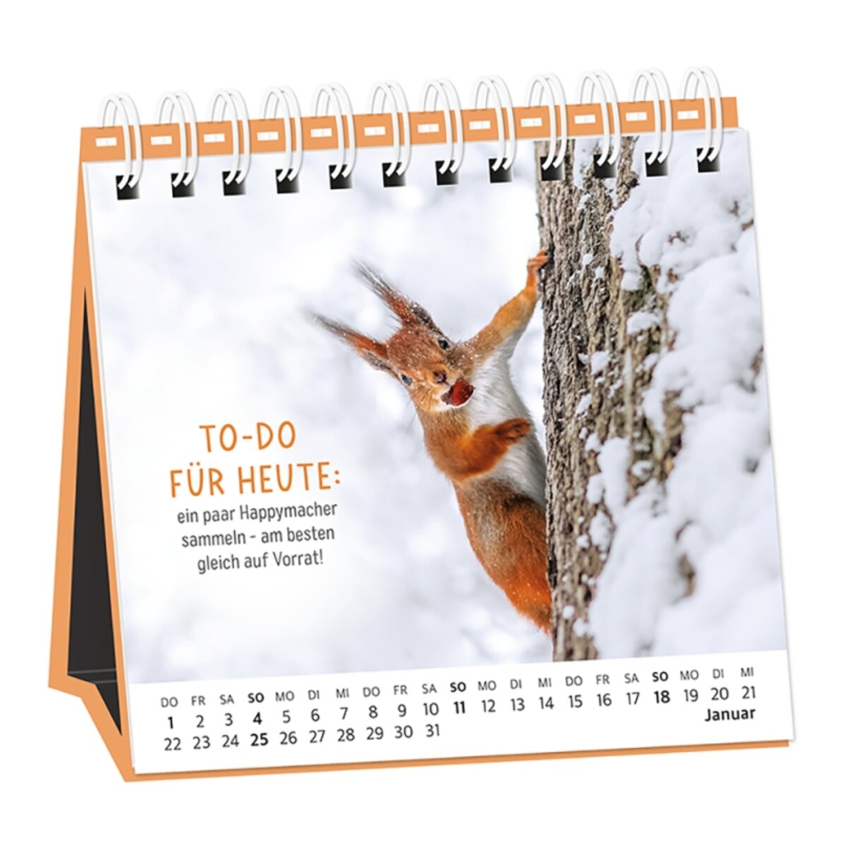 grafik-werkstatt-tischkalender-hardcover-2026-365153A12.jpg
