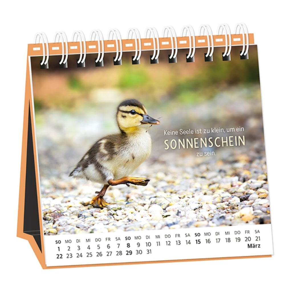 grafik-werkstatt-tischkalender-hardcover-2026-365153A14.jpg
