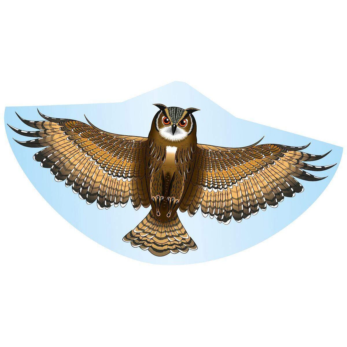 guenther-einleinerdrachen-122x68cm-eule-pe-9593FC6C1.jpg