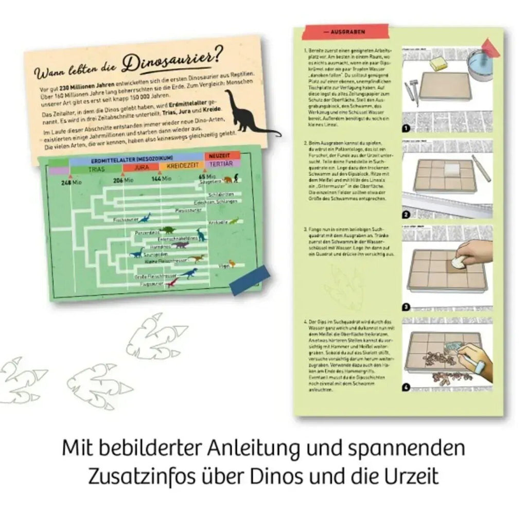 kosmos-t-rex-nachtleuchtend-ausgrabungs-7EB3F1D45.jpg