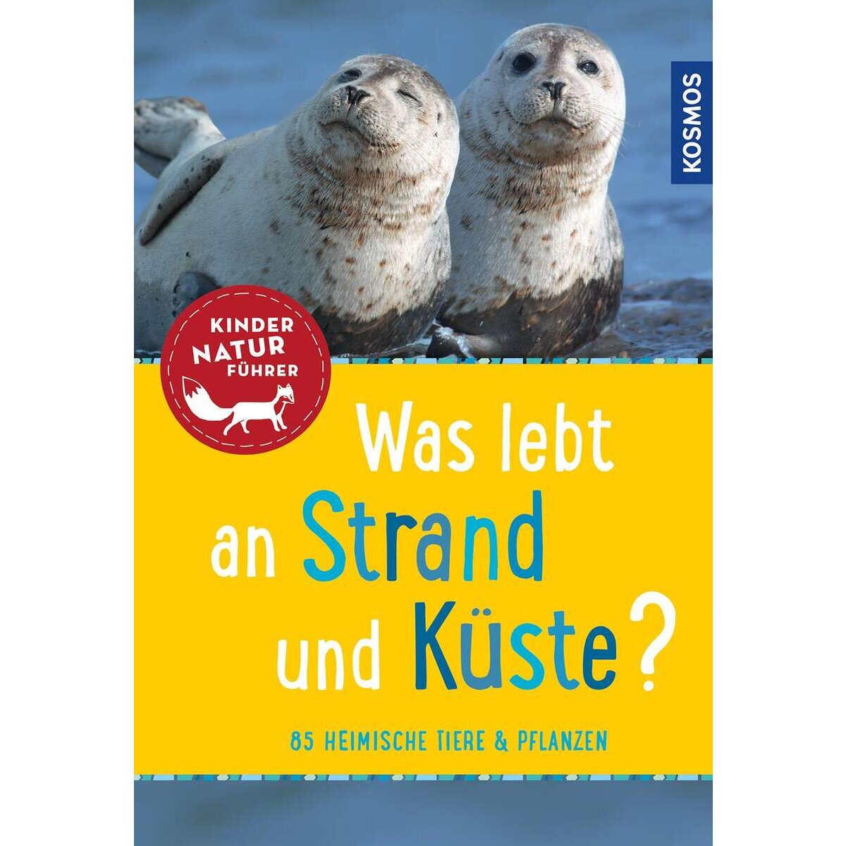 kosmos-was-lebt-an-strand-1150DD731.jpg