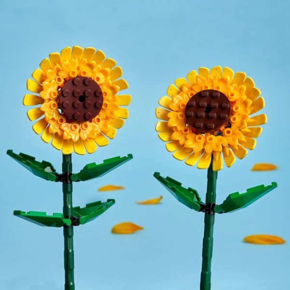 lego-botanicals-40524-sonnenblumen-EEC4ED5D3.jpg