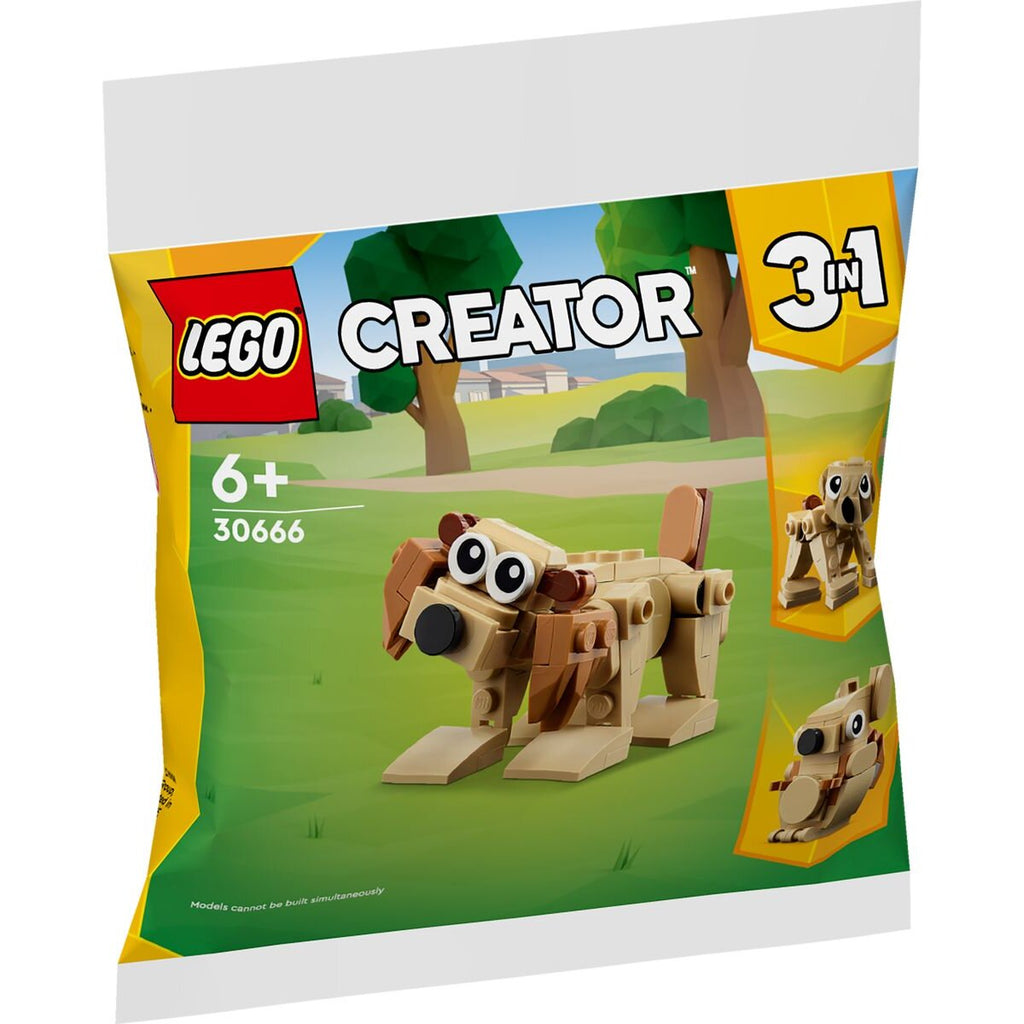 lego-creator-30666-geschenkset-mit-32A8C9761.jpg