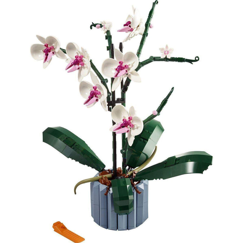 lego-icons-10311-orchidee-E8424F313.jpg
