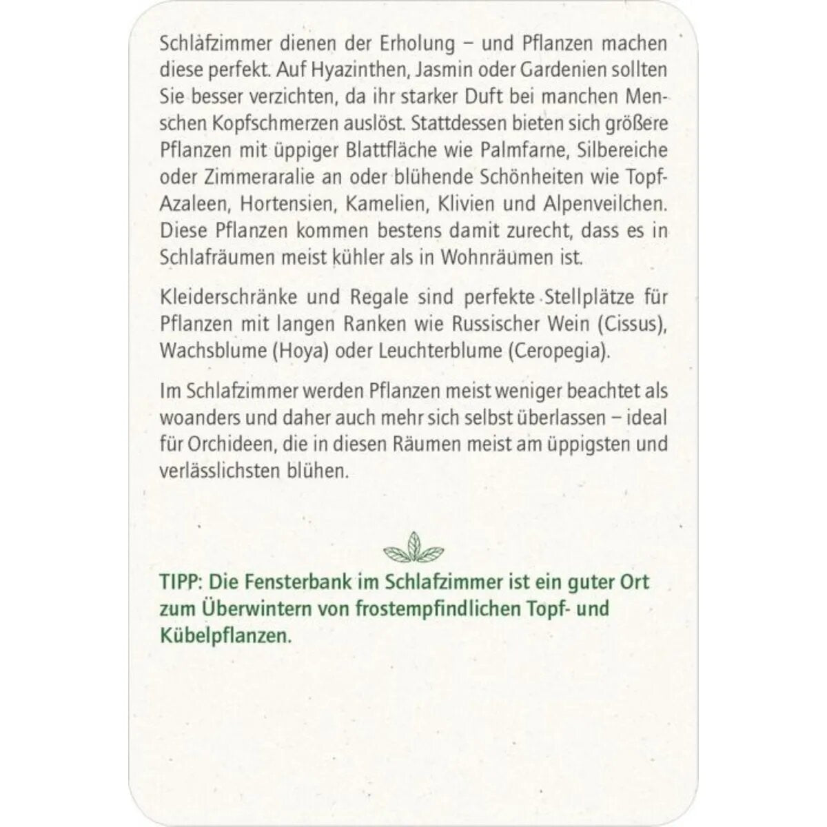 moses. Blatt & Blüte Grüner Wohnen