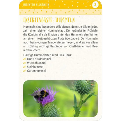 moses. Blatt & Blüte Insektenglück