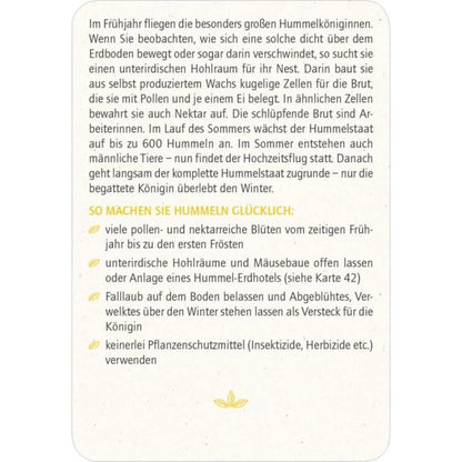 moses. Blatt & Blüte Insektenglück