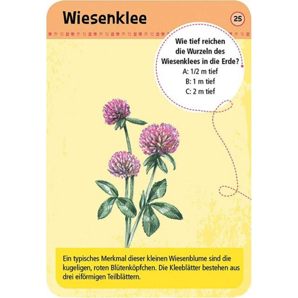 moses-expedition-natur-50-heimische-6F7824262.jpg