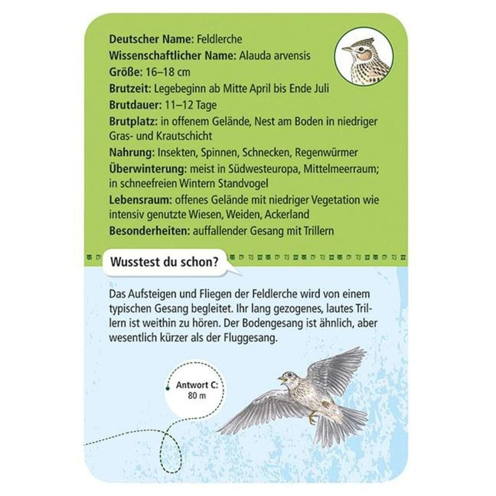 moses-expedition-natur-50-heimische-B9271C593.jpg