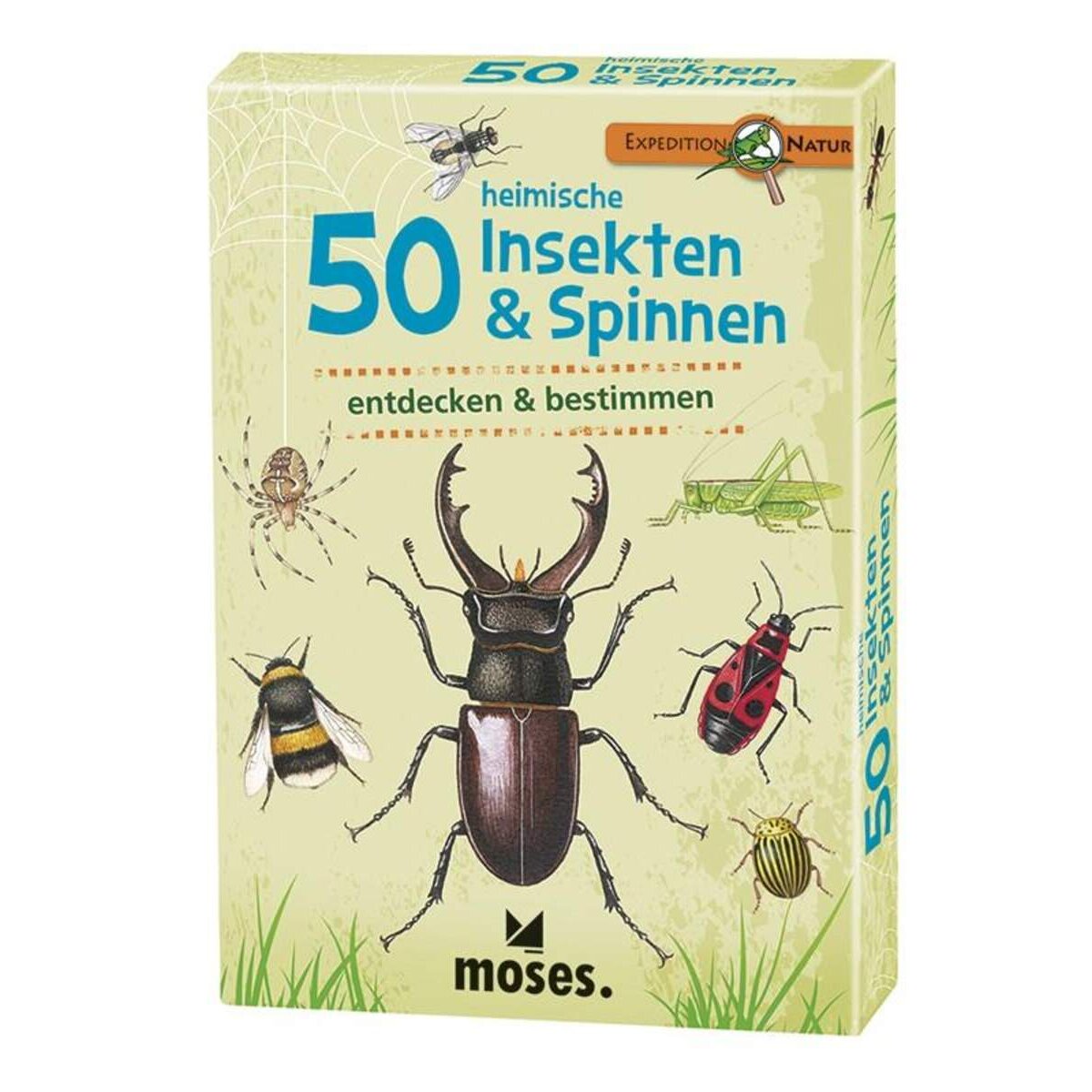 moses-expedition-natur-50-heimische-B92744531.jpg
