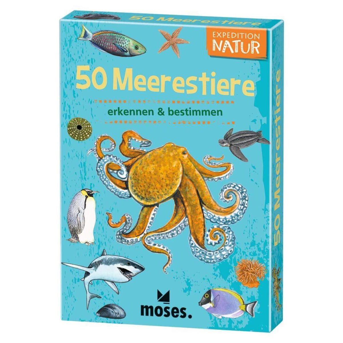 moses-expedition-natur-50-meerestiere-9511F20F1.jpg