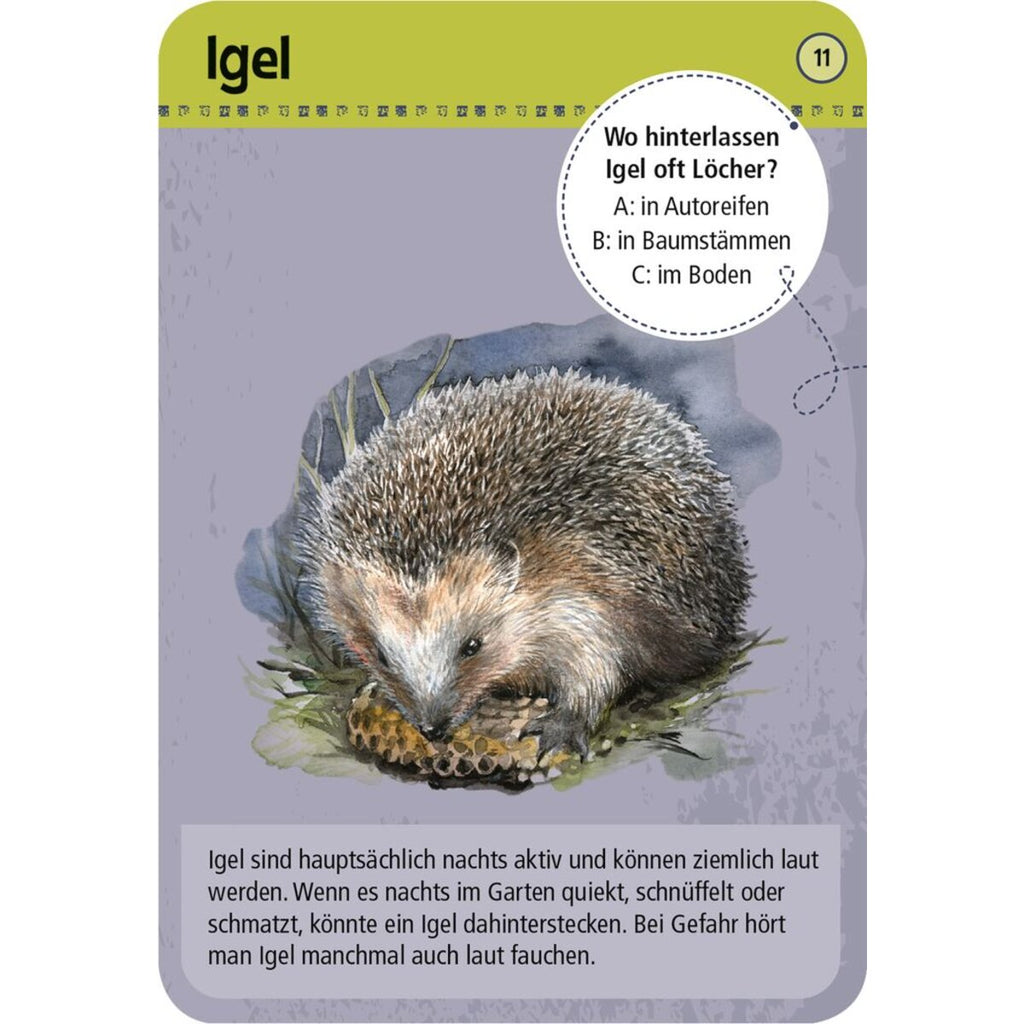 moses-expedition-natur-50-tiere-DD02B5342.jpg
