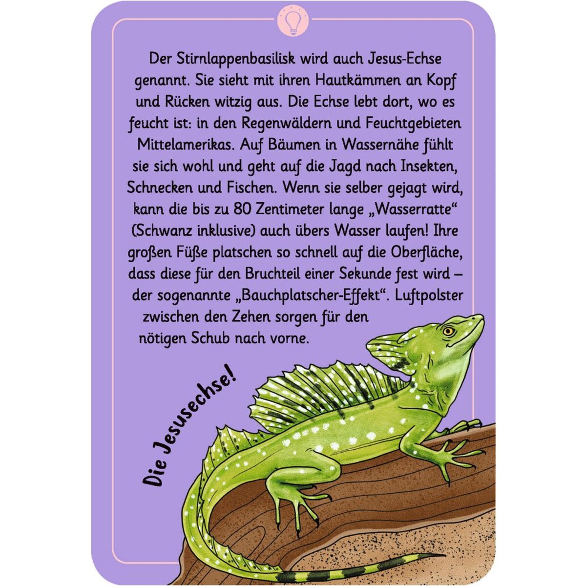 moses-expedition-natur-50-w-4FBE9C683.jpg