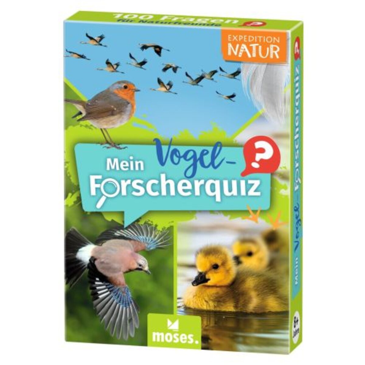 moses. Mein Vogel-Forscherquiz