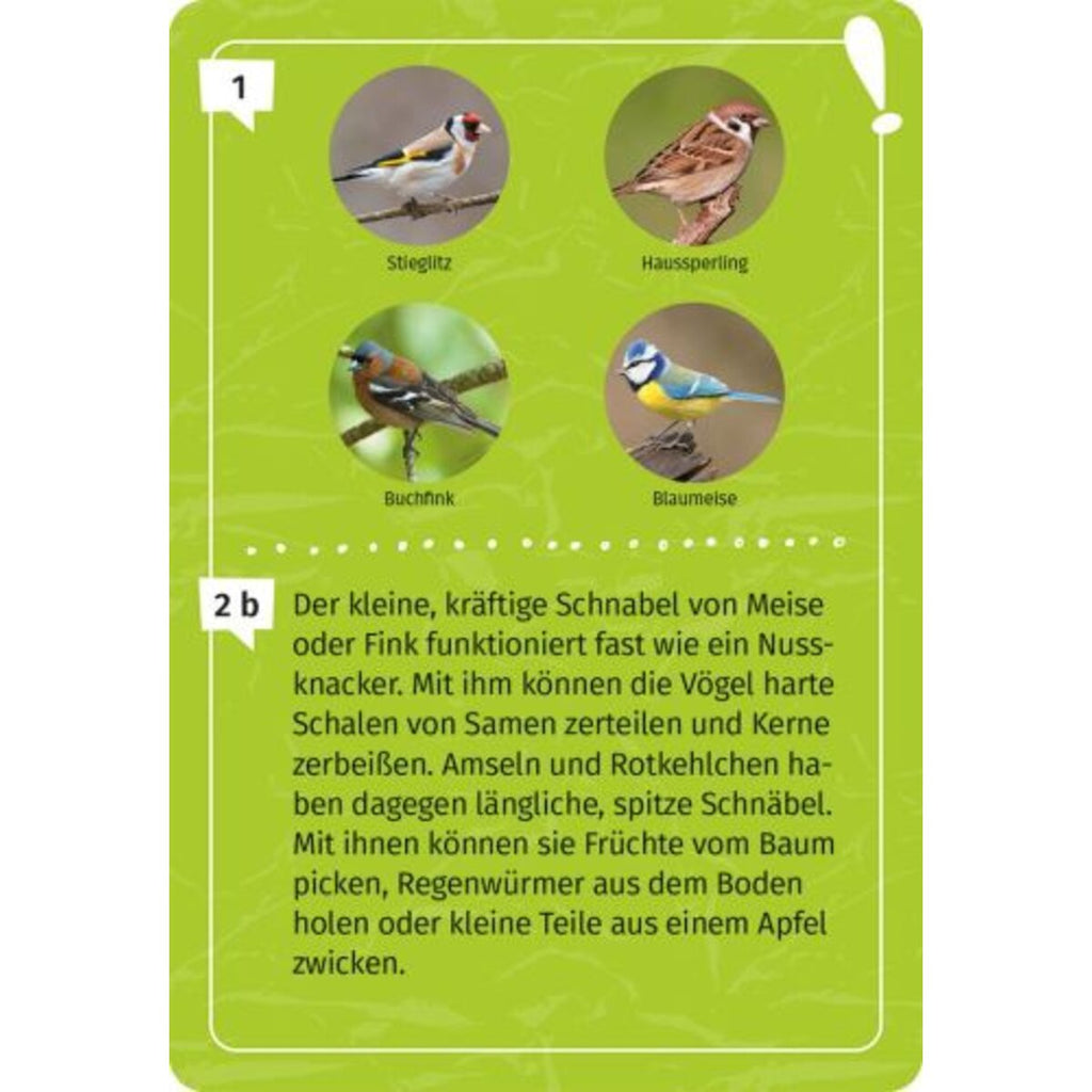 moses. Mein Vogel-Forscherquiz