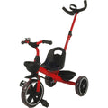 new-sports-dreirad-mit-schubstange-9CFE74831.jpg