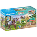 playmobil-71356-horses-of-waterfall-000AAB831.jpg