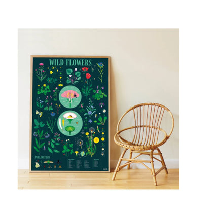 Poppik Sticker Lernposter Botanik