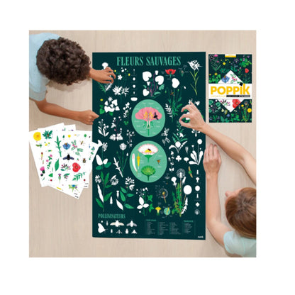Poppik Sticker Lernposter Botanik